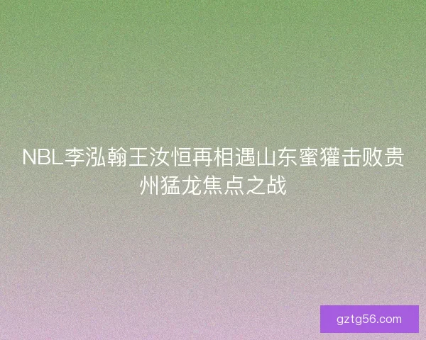 NBL李泓翰王汝恒再相遇山东蜜獾击败贵州猛龙焦点之战