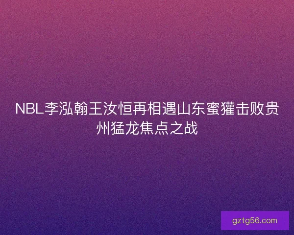 NBL李泓翰王汝恒再相遇山东蜜獾击败贵州猛龙焦点之战 NBL李泓翰王汝恒再相遇山东蜜獾击败贵州猛龙焦点之战