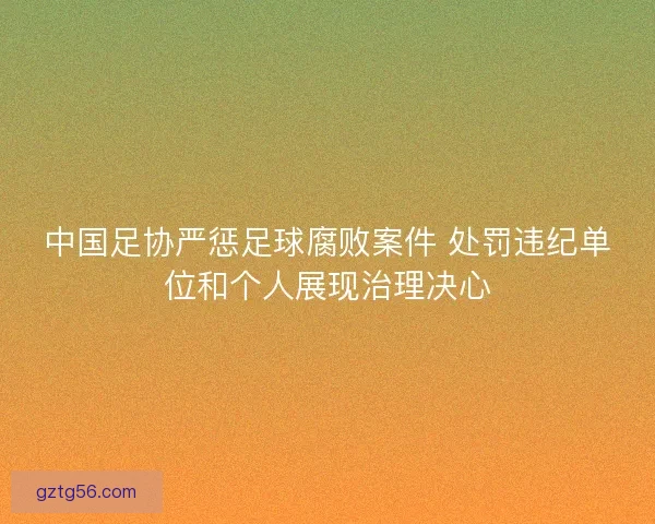 中国足协严惩足球腐败案件 处罚违纪单位和个人展现治理决心